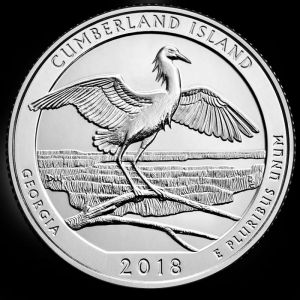 2018 Cumberland Island National Seashore - D
